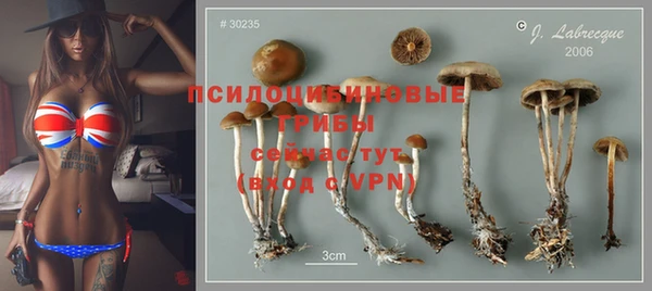 альфа пвп Няндома