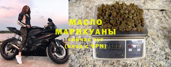 гидра Щигры