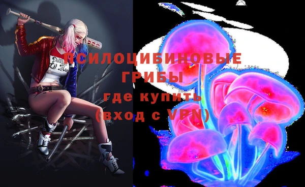 альфа пвп Няндома