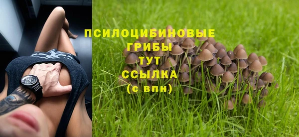 альфа пвп Нязепетровск
