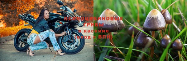 альфа пвп Няндома