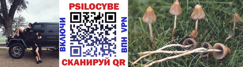 Псилоцибиновые грибы MAGIC MUSHROOMS  shop как зайти  Монино  где купить  